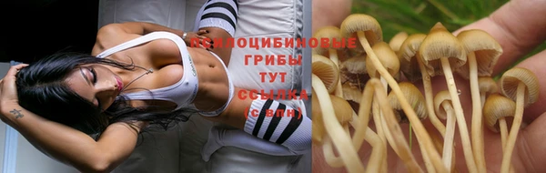 a pvp Михайлов