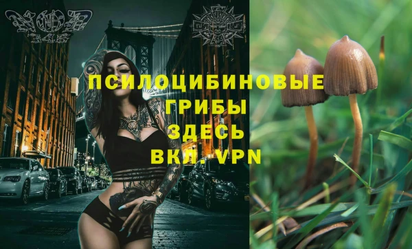 a pvp Михайлов