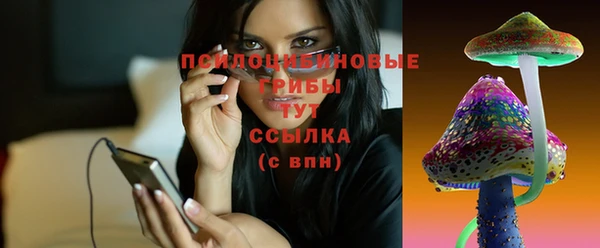 a pvp Михайлов