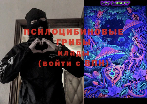 прущие грибы Орехово-Зуево